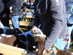 2019_ausstellung polling_159